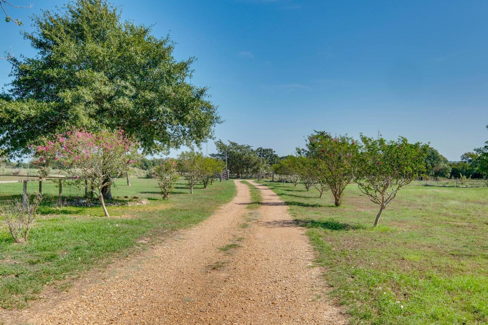 Delightful Carmine Studio On Farm Near Round Top! Екстер'єр фото